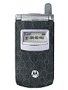 Best available price of Motorola T725 in D