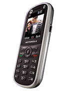 Best available price of Motorola WX288 in D